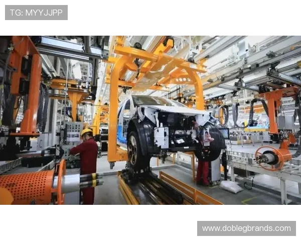 凯发娱乐集团：不断拓展国际市场实现品牌全球化战略布局